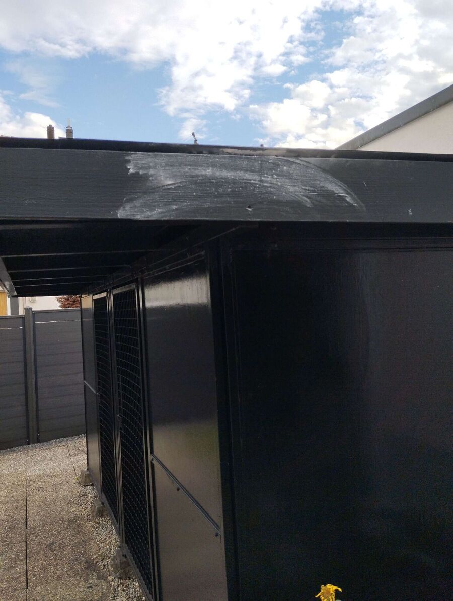 Bienen umsiedeln &  Bienennest entfernen 