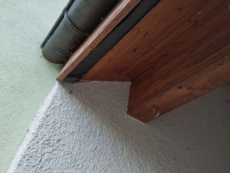  Bienennest entfernen.jpeg