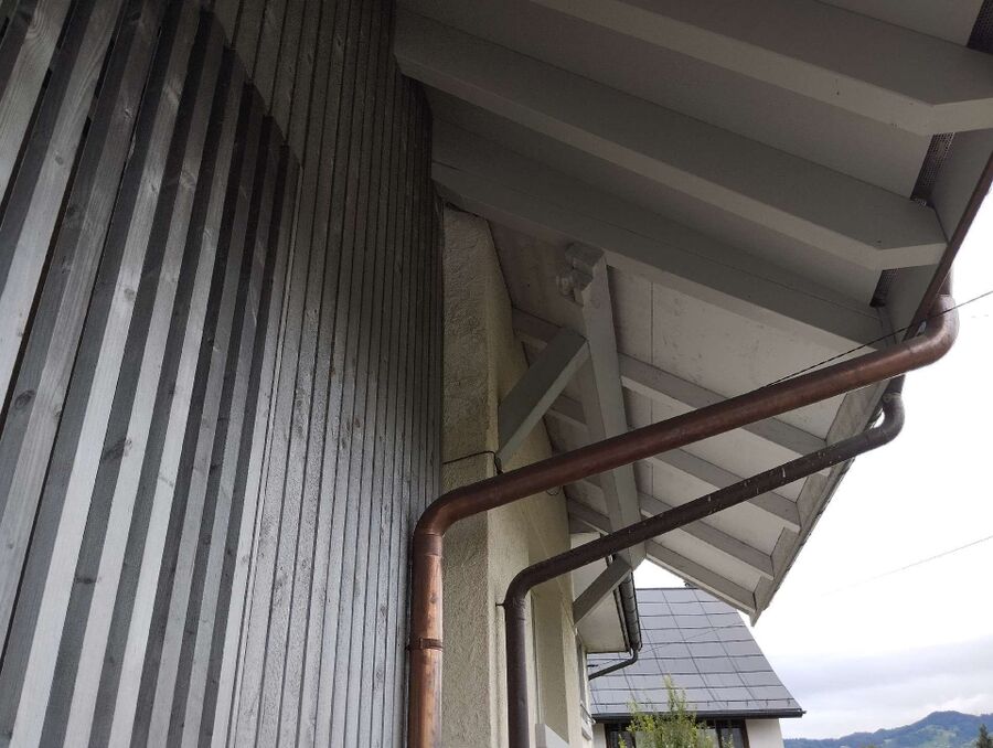 Bienen umsiedeln &  Bienennest entfernen 