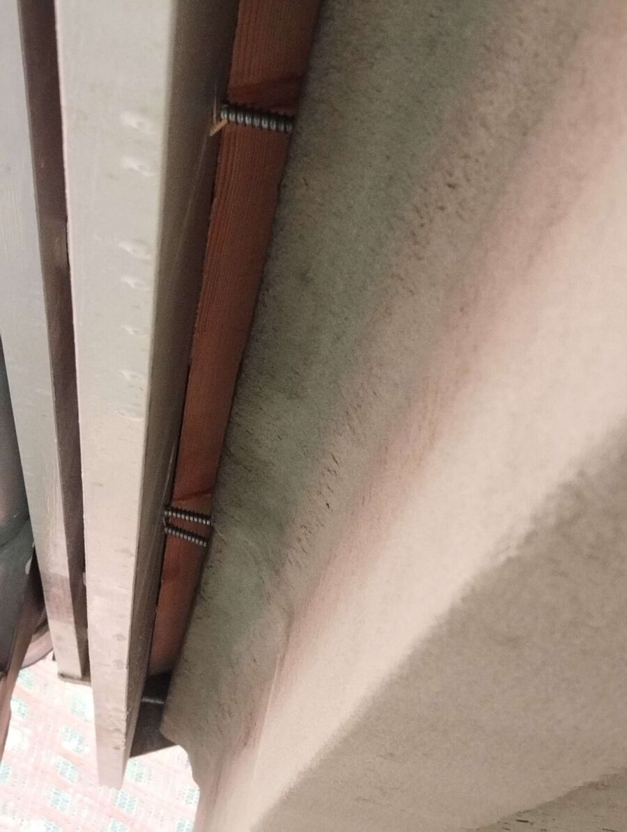  Bienennest entfernen