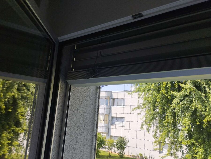 Bienen umsiedeln &  Bienennest entfernen 