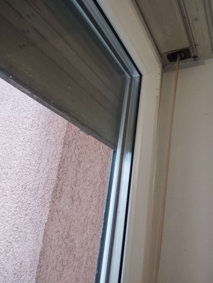 Bienen umsiedeln &  Bienennest entfernen 