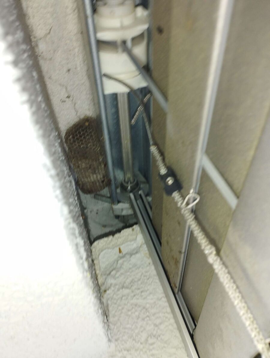  Bienennest entfernen