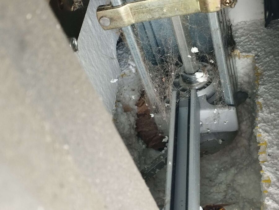  Bienennest entfernen