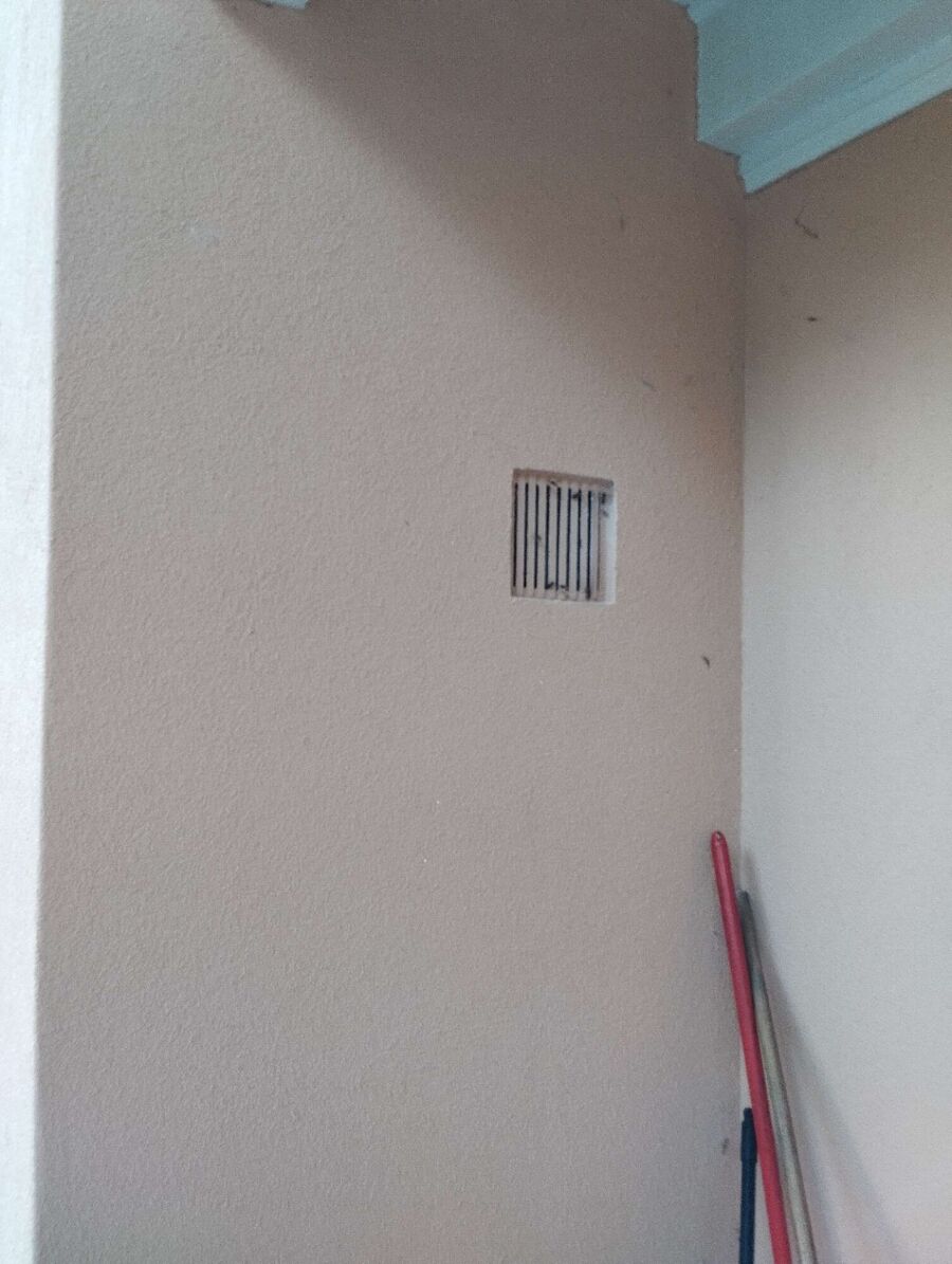  Bienennest entfernen.jpeg