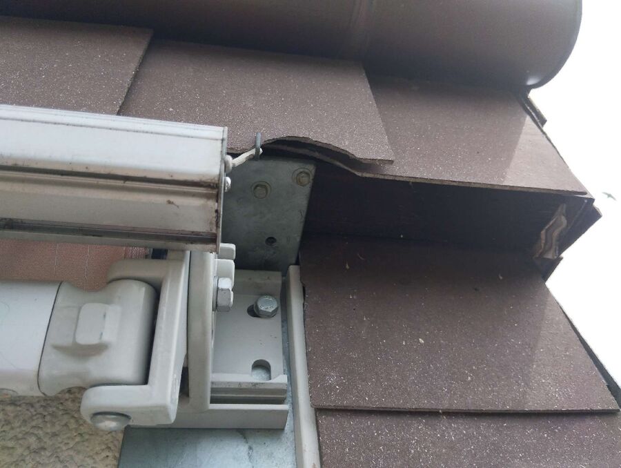 Bienen umsiedeln &  Bienennest entfernen 