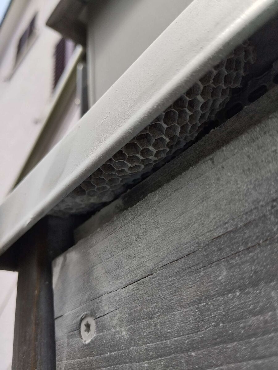  Bienennest entfernen