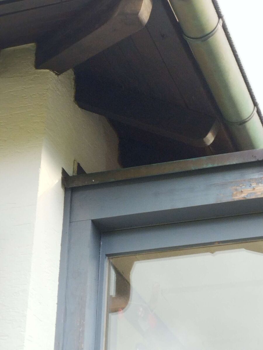  Bienennest entfernen.jpeg