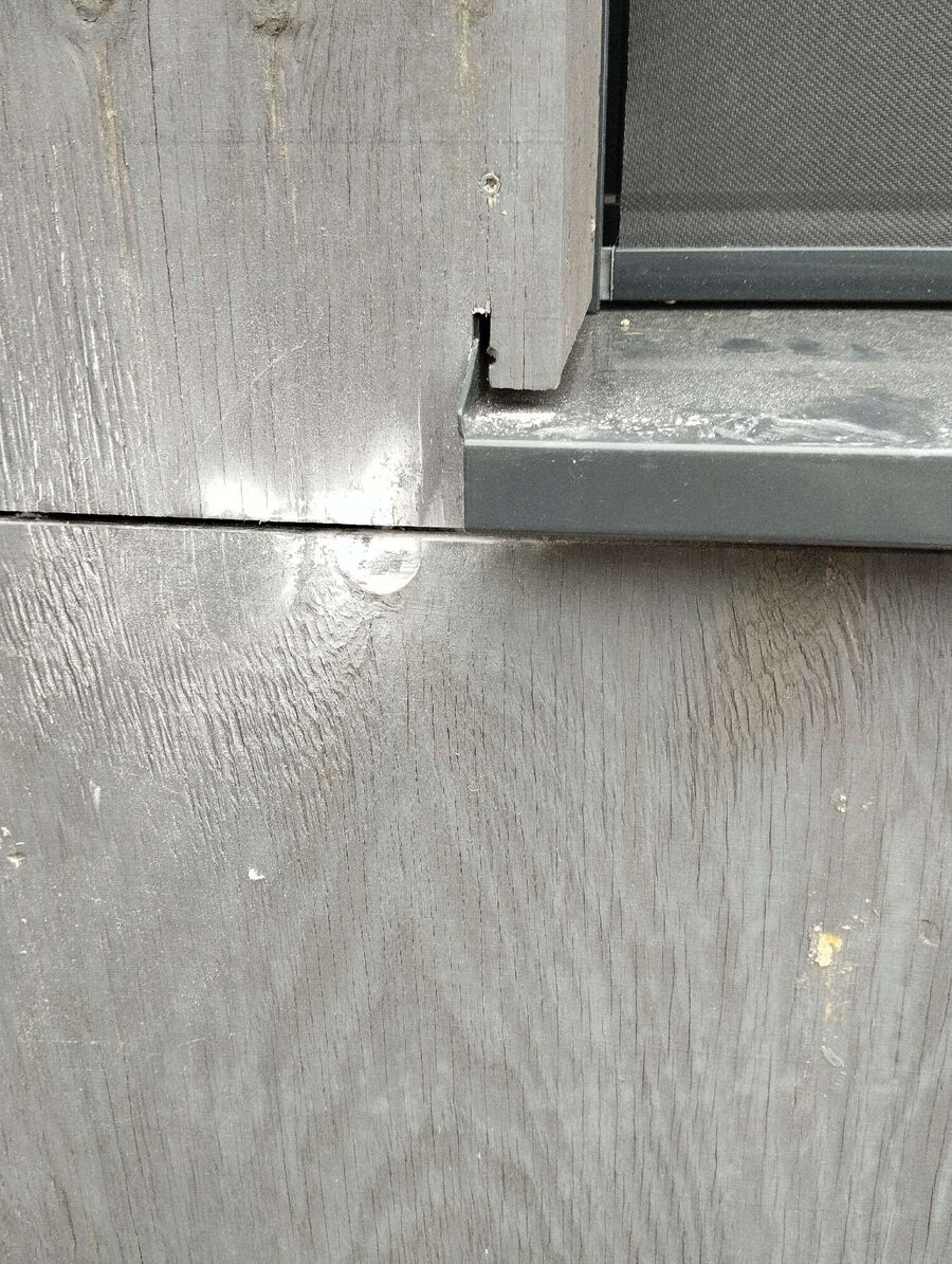  Bienennest entfernen