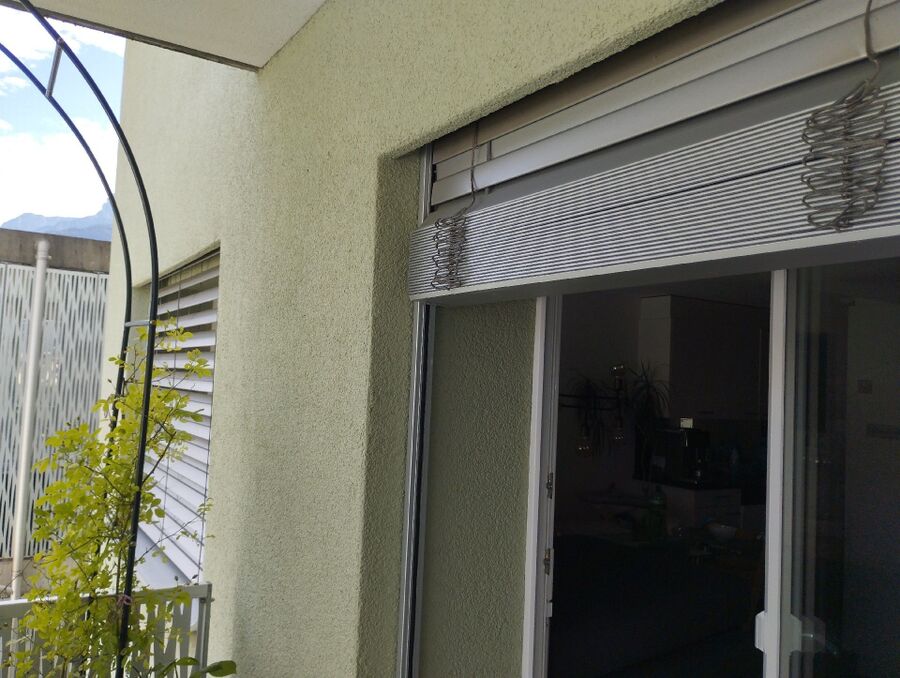 Bienen umsiedeln &  Bienennest entfernen 