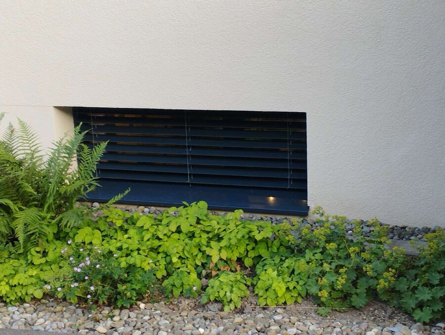  Bienennest entfernen.jpeg