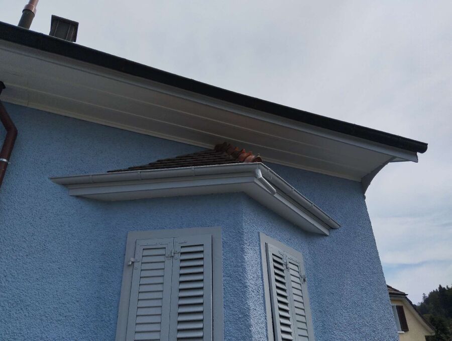 Bienen umsiedeln &  Bienennest entfernen 