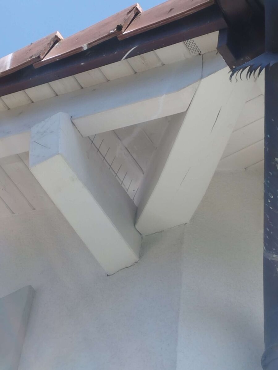  Bienennest entfernen