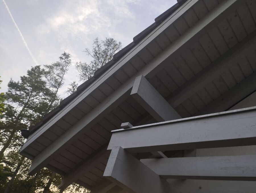  Bienennest entfernen