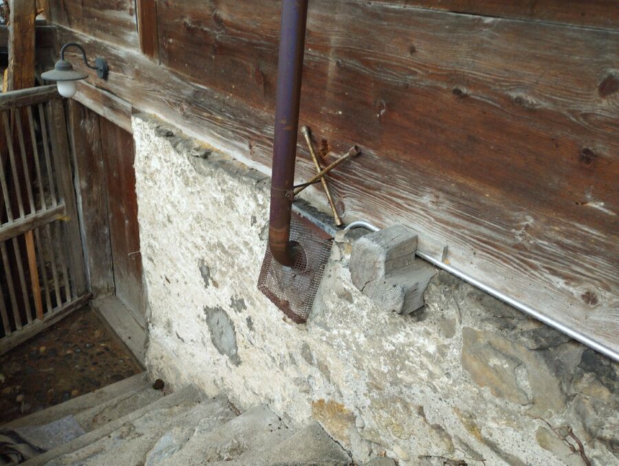  Bienennest entfernen