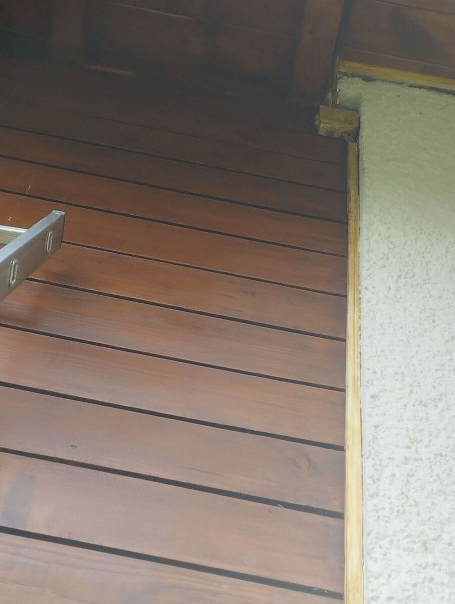  Bienennest entfernen.jpeg