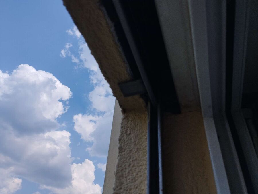  Bienennest entfernen