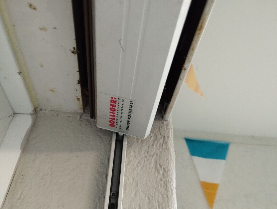  Bienennest entfernen