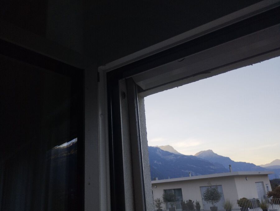  Bienennest entfernen