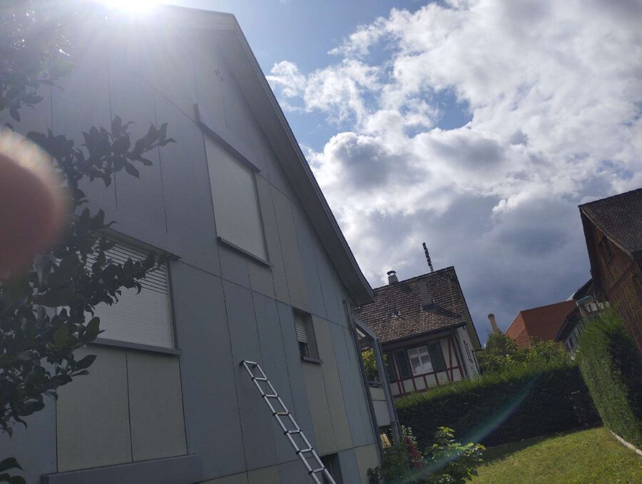  Bienennest entfernen.jpeg