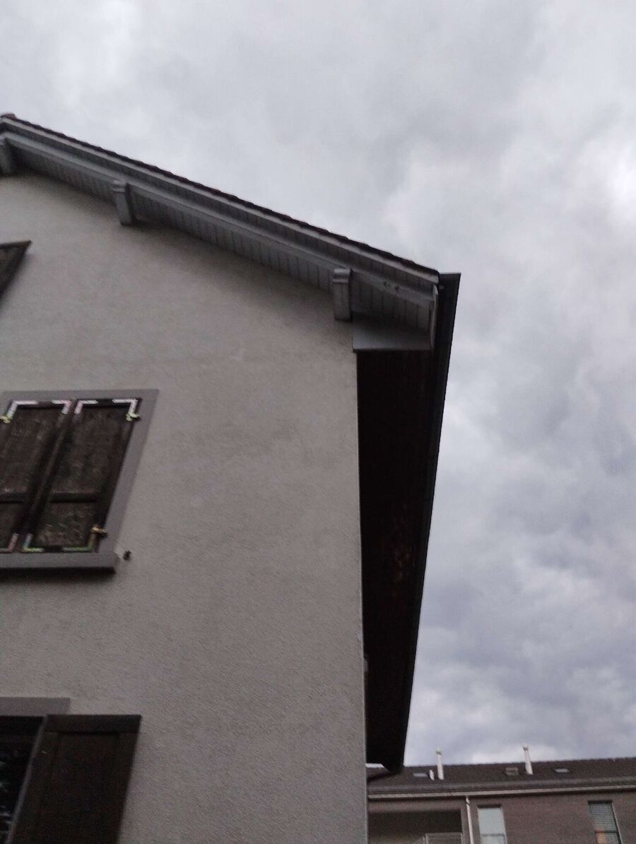  Bienennest entfernen.jpeg