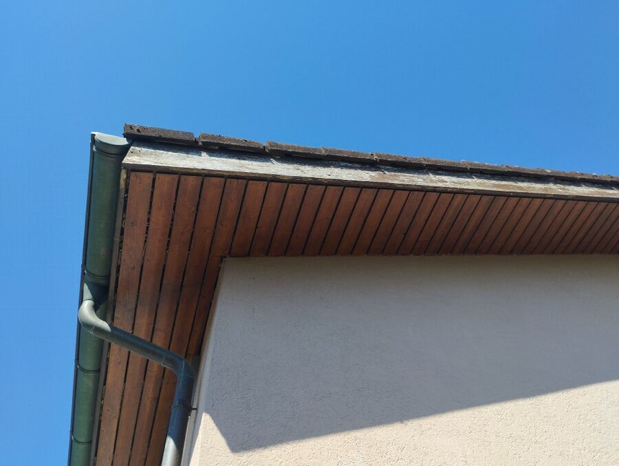  Bienennest entfernen.jpeg