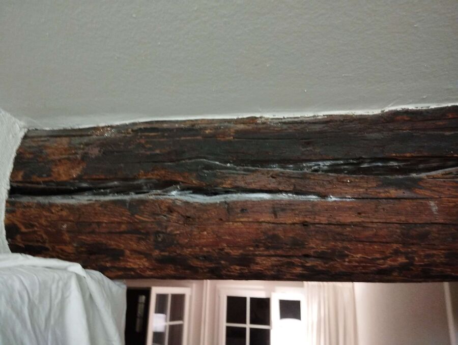 Bienen umsiedeln &  Bienennest entfernen 