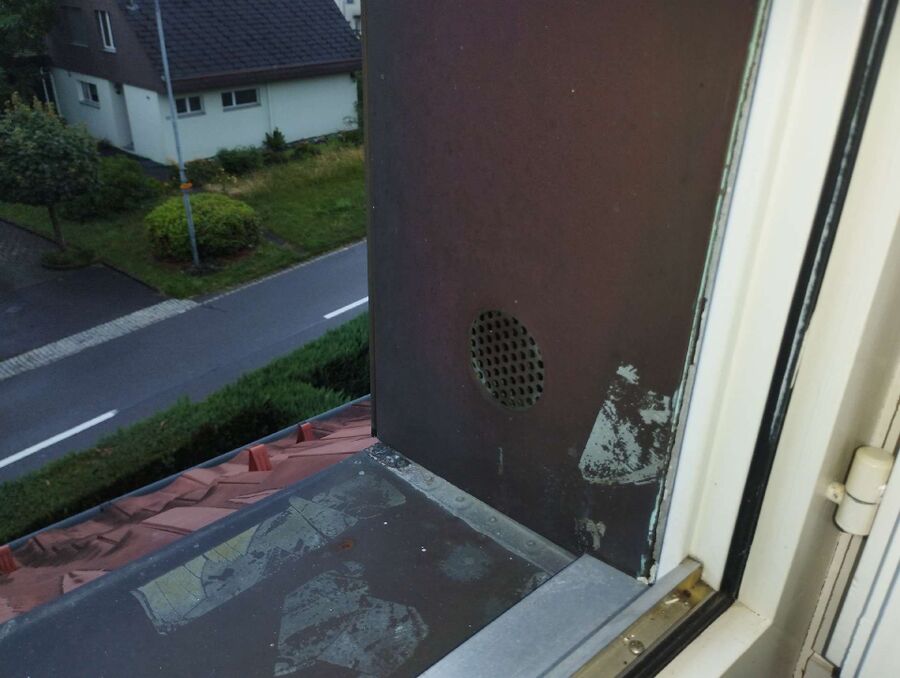  Bienennest entfernen