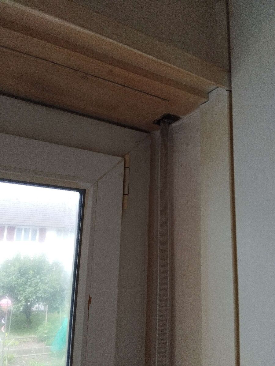 Bienen umsiedeln &  Bienennest entfernen 