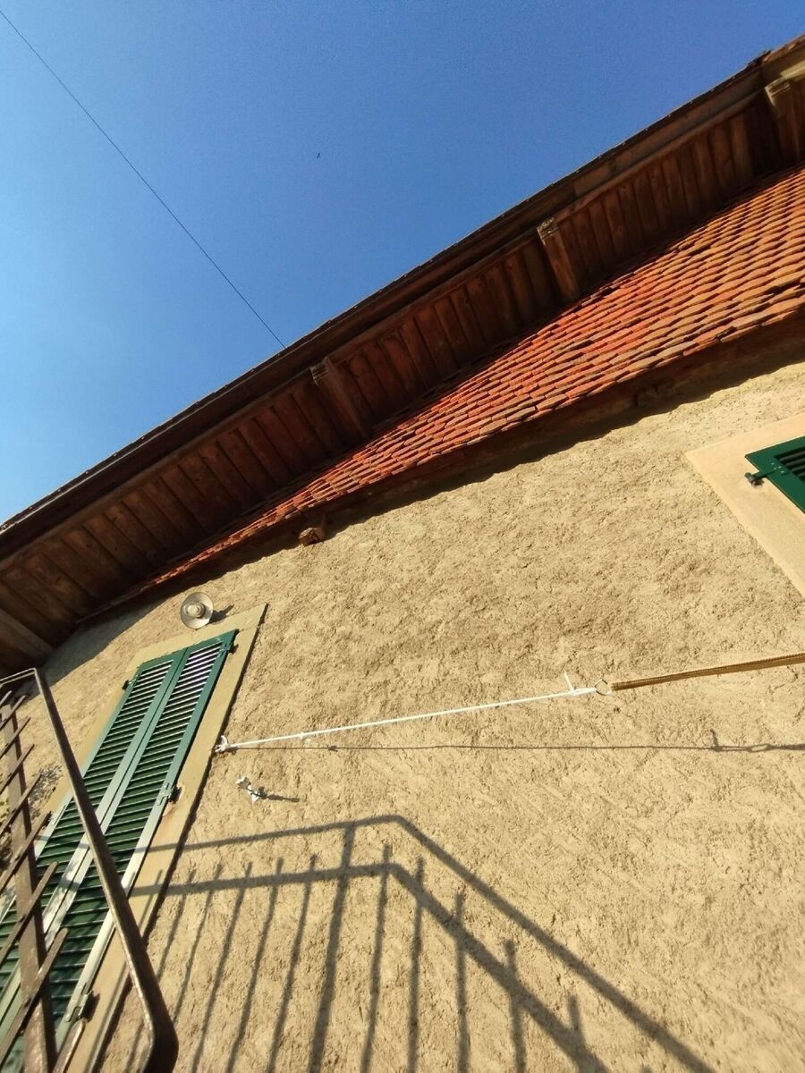  Bienennest entfernen