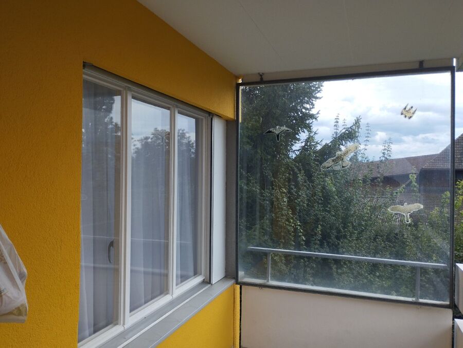  Bienennest entfernen