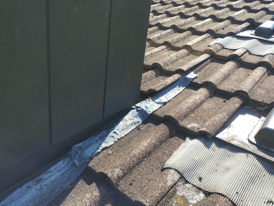  Bienennest entfernen.jpeg