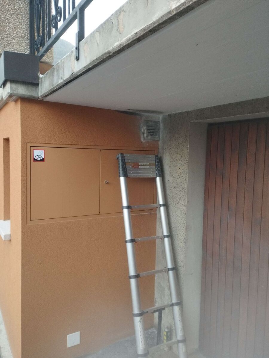  Bienennest entfernen