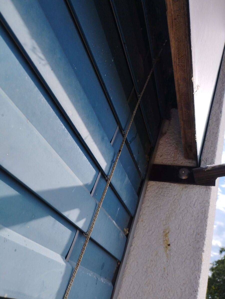  Bienennest entfernen