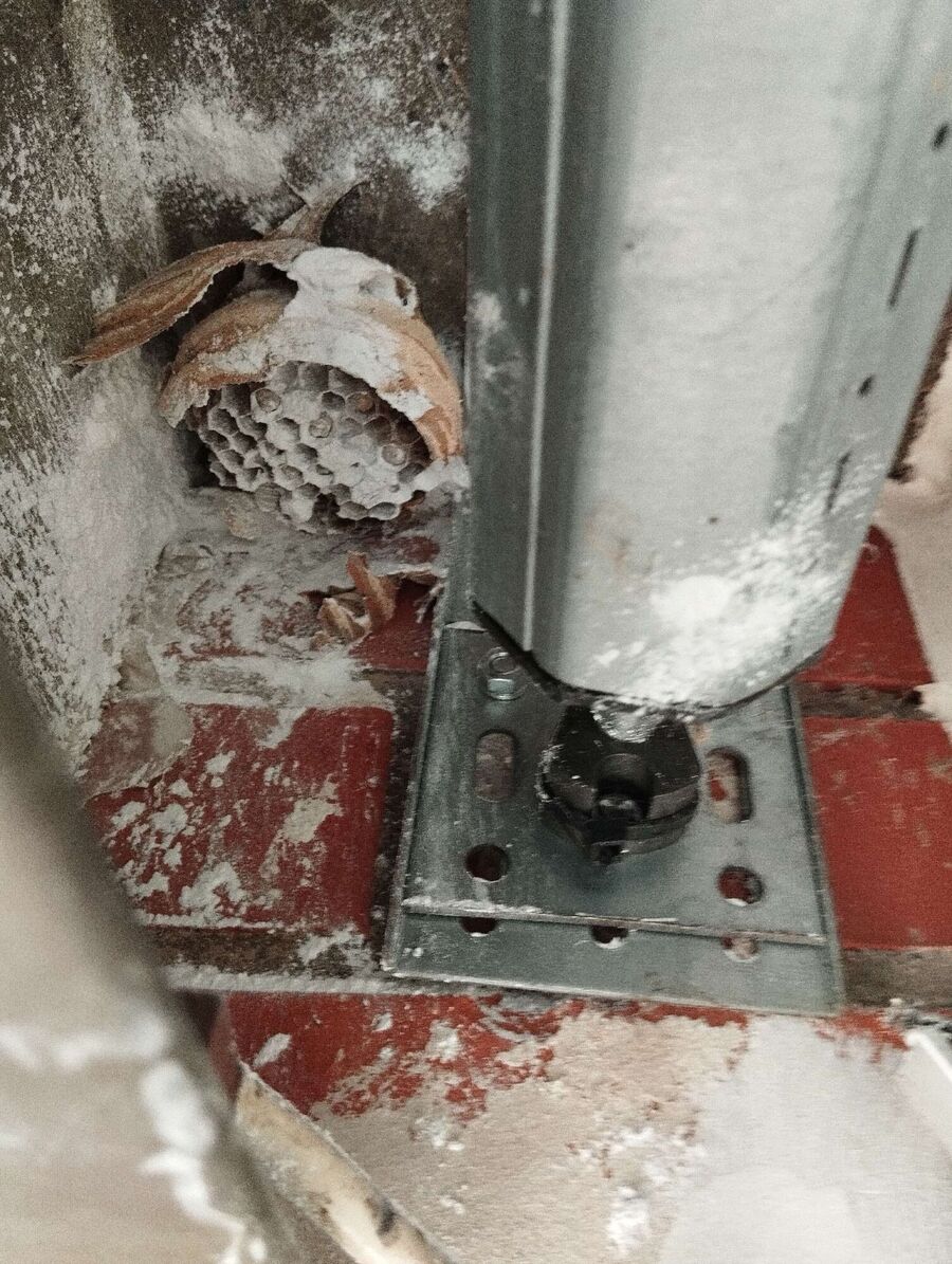  Bienennest entfernen.jpeg