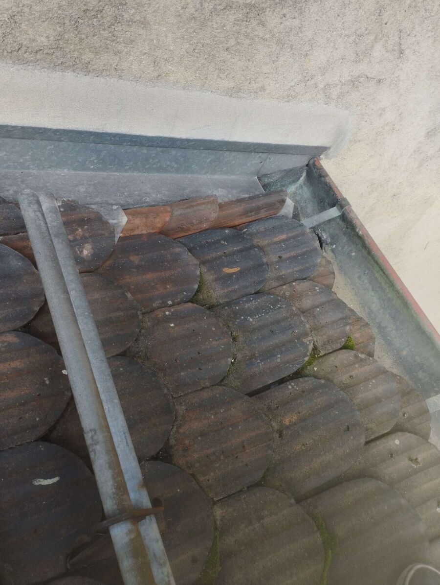 Bienen umsiedeln &  Bienennest entfernen 