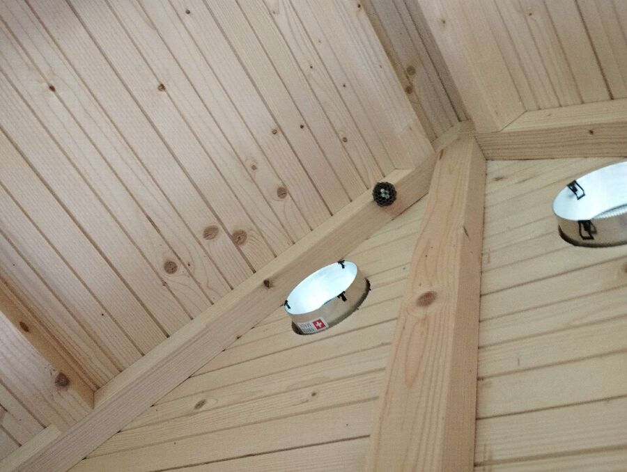 Bienen umsiedeln &  Bienennest entfernen 