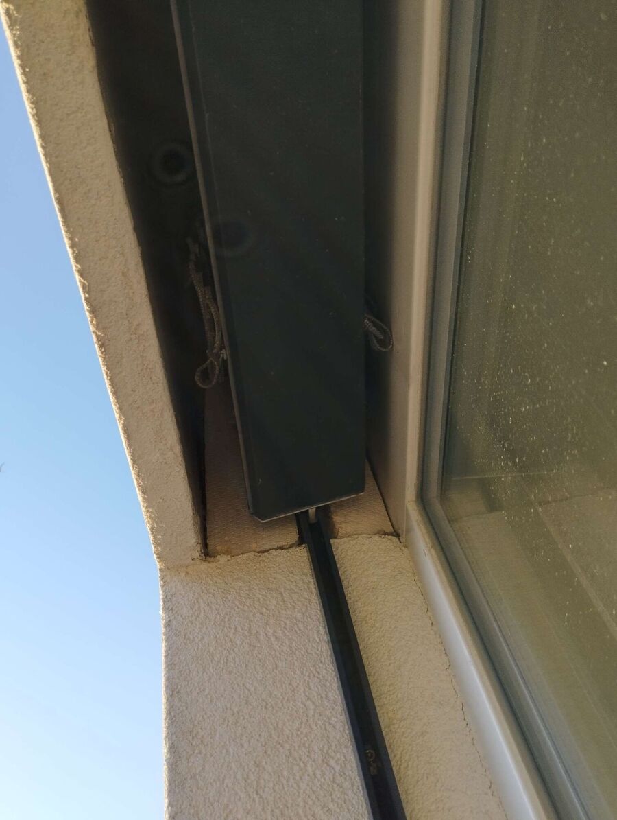  Bienennest entfernen.jpeg