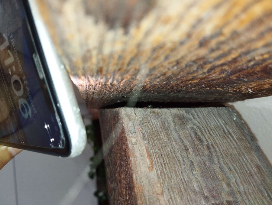  Bienennest entfernen.jpeg