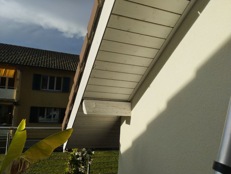  Bienennest entfernen