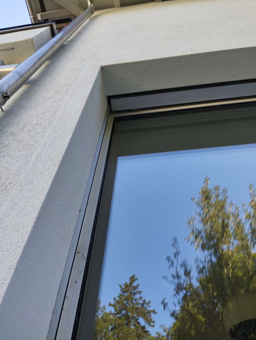  Bienennest entfernen