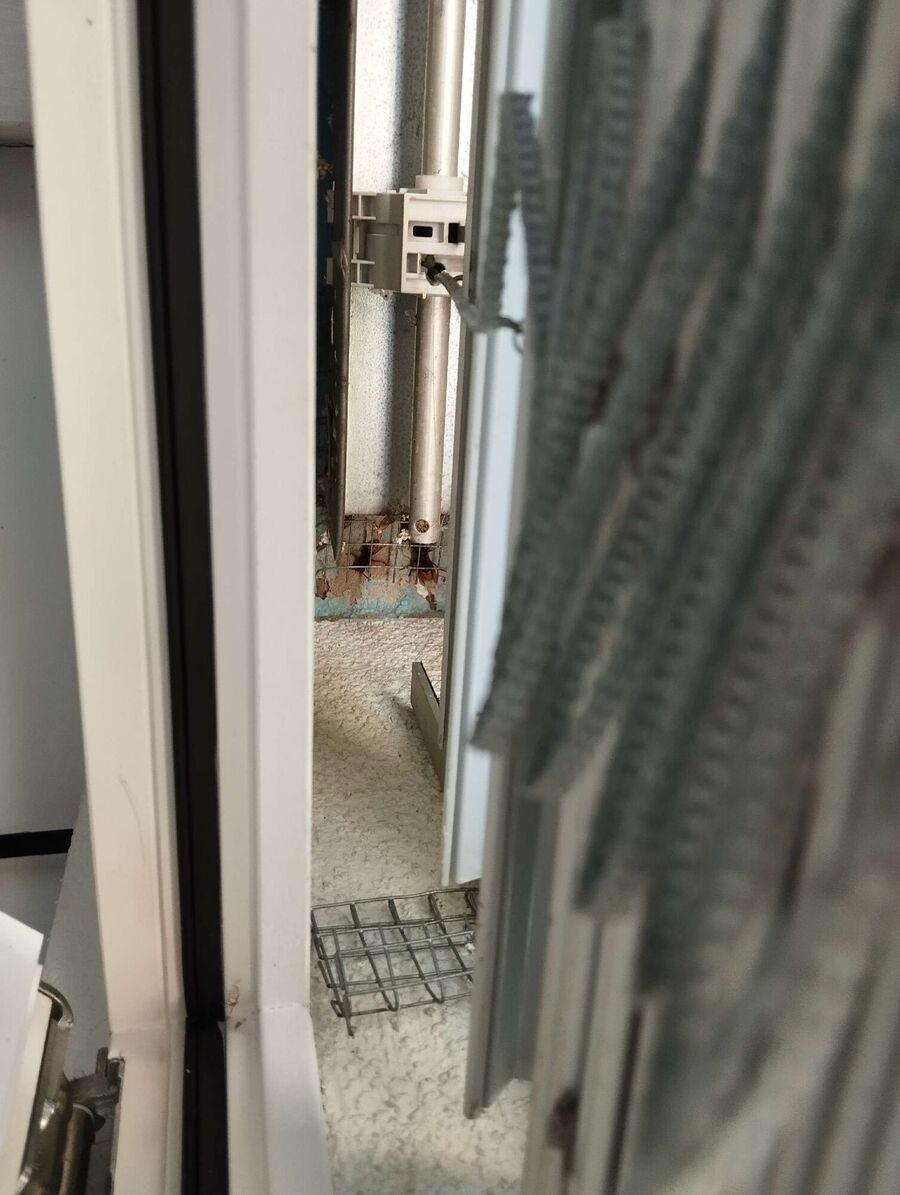 Bienen umsiedeln &  Bienennest entfernen 