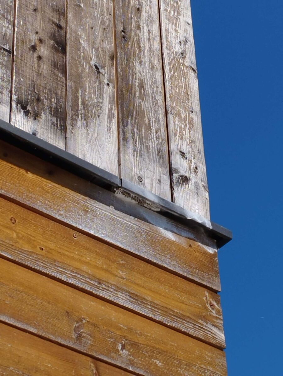  Bienennest entfernen