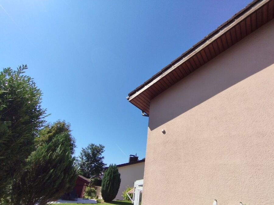  Bienennest entfernen.jpeg