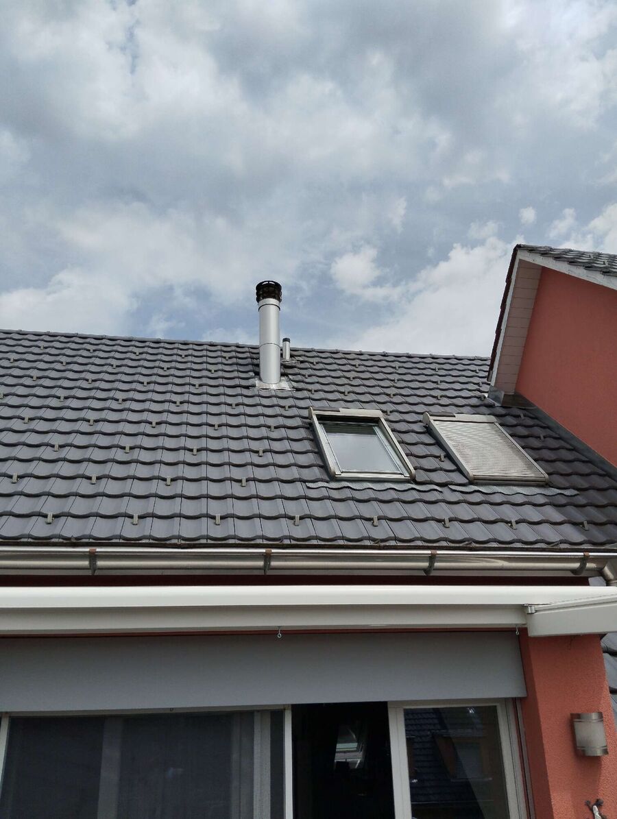 Bienen umsiedeln &  Bienennest entfernen 