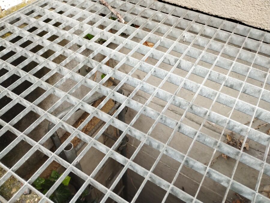  Bienennest entfernen.jpeg