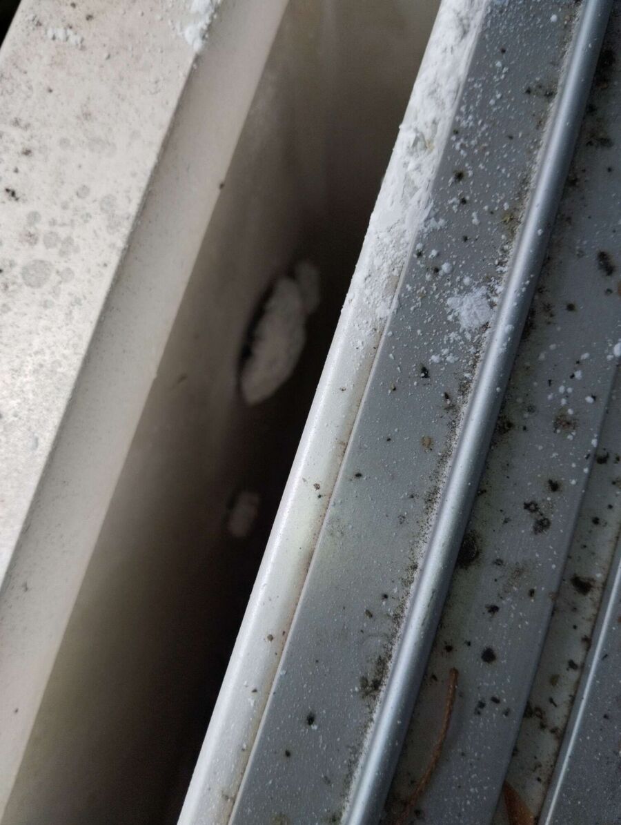  Bienennest entfernen