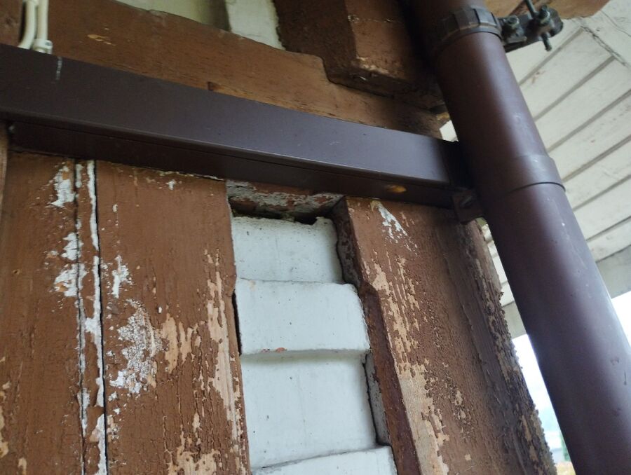  Bienennest entfernen