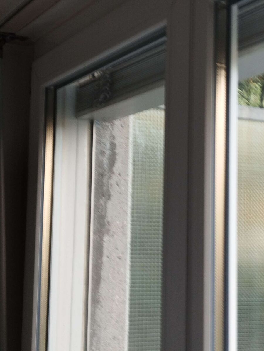  Bienennest entfernen