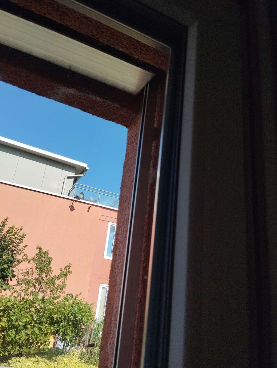  Bienennest entfernen.jpeg